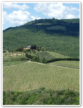 イタリアで一番美しい丘の町オルヴィエートと絶景のワイナリー見学オルビエトクラシッコワインをテイスティング